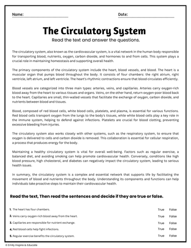 The Circulatory System: A Vital Network of Life: Reading