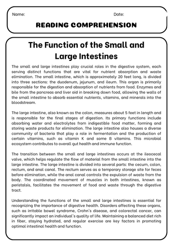 The Function of the Small and Large Intestines: Reading Comprehension ...
