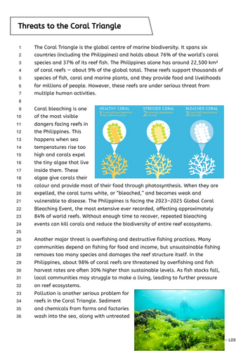 Y8 Ecosystems: Threats to coral reefs