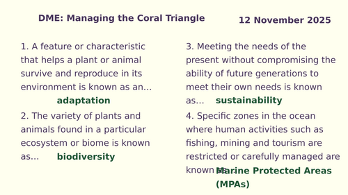 Y8 Ecosystems: Decision making on managing the coral triangle