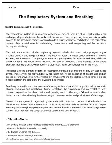 The Respiratory System and Breathing Reading Comprehension Passages ...