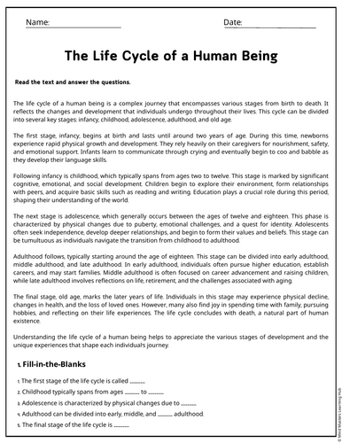The Life Cycle of a Human Being Reading Comprehension Passages ...