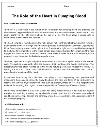 The Role of the Heart in Pumping Blood Reading Comprehension Passages ...
