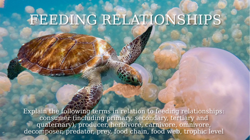 Interactions in Marine Ecosystems, IAL Marine Science, Cambridge CIE ...