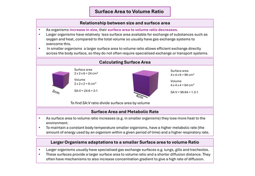 Gas Exchange A Level Biology Revision Notes and Activity Mats ...