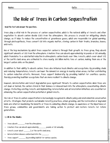 The Role of Trees in Carbon Sequestration Reading Comprehension ...