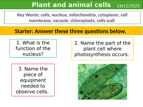 Smart Activate 3 - Plants and animal cells