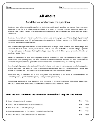 All About Ducks Reading Comprehension Passages & Questions Worksheets ...