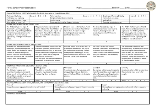Forest School Pupil Observation Template – EYFS Characteristics, Leuven ...
