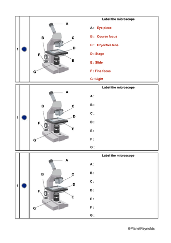 AQA GCSE Biology B1.2 – Animal and Plant Cells | Full Lesson ...
