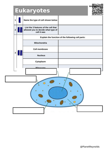 AQA GCSE Biology B1.3 – Eukaryotic and Prokaryotic Cells | Full Lesson ...