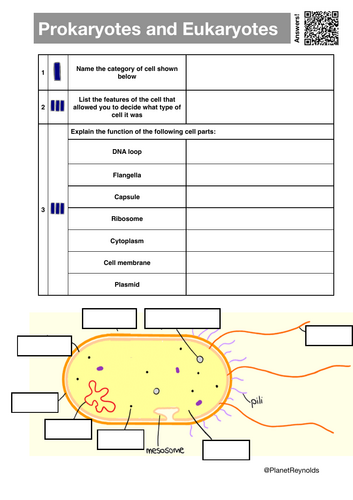 AQA GCSE Biology B1.3 – Eukaryotic and Prokaryotic Cells | Full Lesson ...