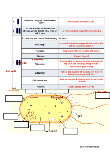 AQA GCSE Biology B1.3 – Eukaryotic and Prokaryotic Cells | Full Lesson ...