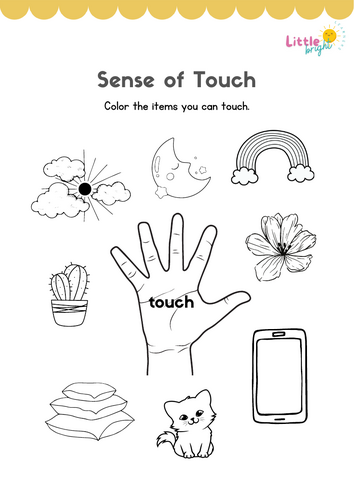 Sense of Touch Worksheet – EYFS / KS1 Science (Five Senses Activity)