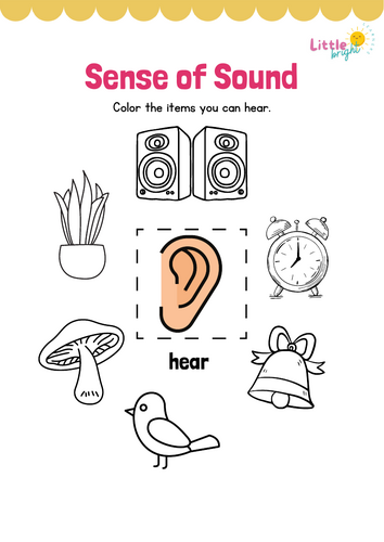 Sense of Sound Worksheet – EYFS / KS1 Science (Five Senses Activity)