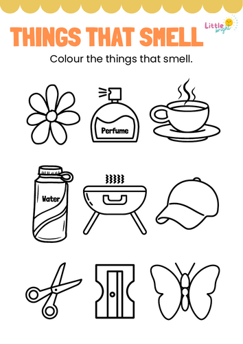 Things That Smell – EYFS / KS1 Science (Sense of Smell Worksheet)
