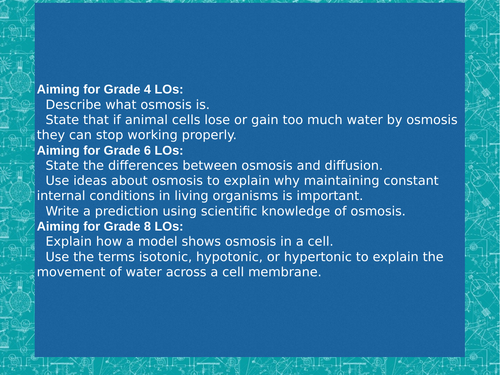 pptx, 13.21 MB