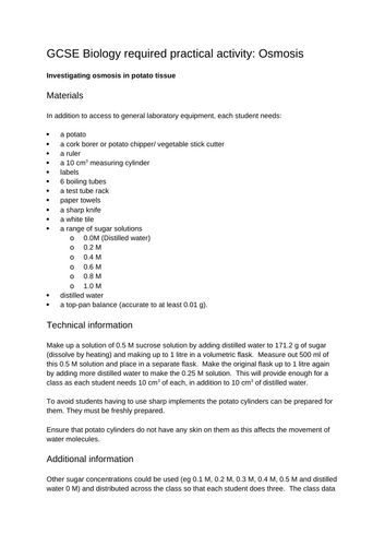 docx, 10.07 KB