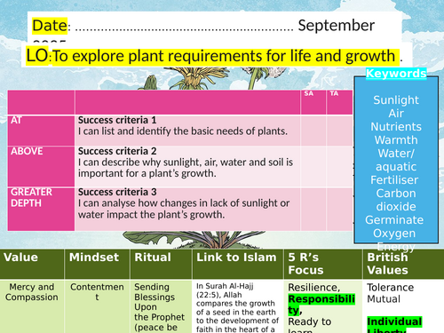 Exploring Plant Requirements for Life and Growth | Teaching Resources