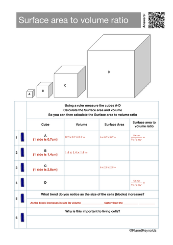 pdf, 309.81 KB