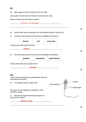 pdf, 106.74 KB