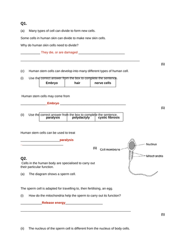 docx, 16.79 KB