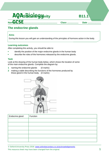 B11.1 Principles of hormonal control