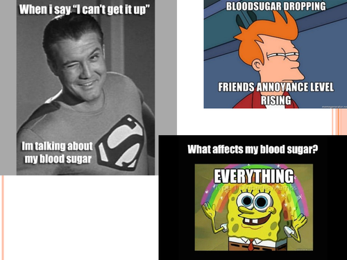 B11.2 The control of blood glucose levels