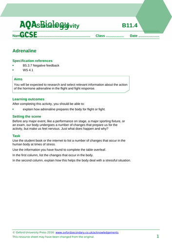 B11.4 The role of negative feedback