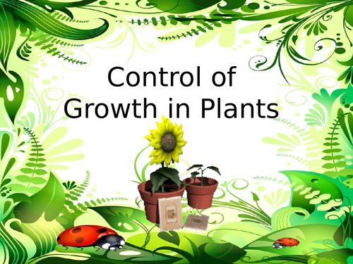 B11.9 Plant hormones and plant responses