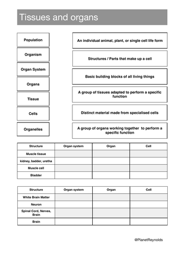 pdf, 62.52 KB
