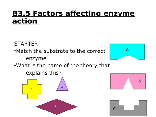B3.5 Factors affecting enzyme action