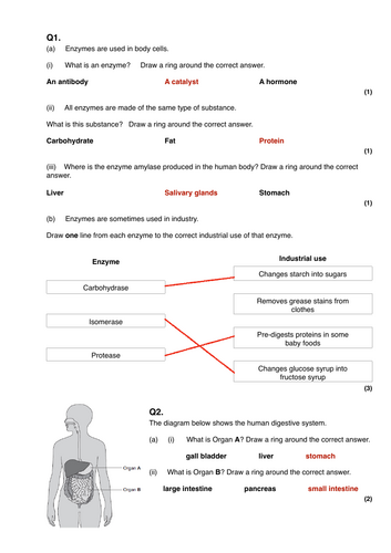 pdf, 193.05 KB