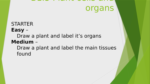 B1.5 Specialisation in plant cells