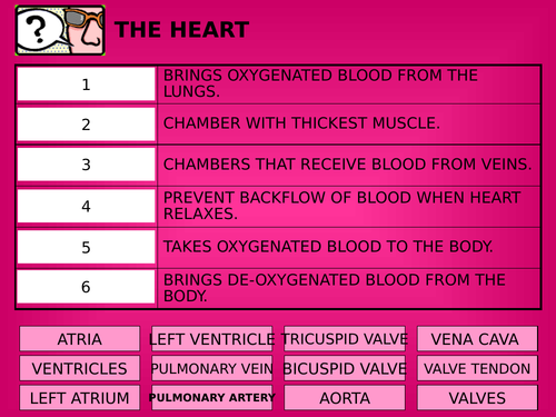 B4.3 The heart