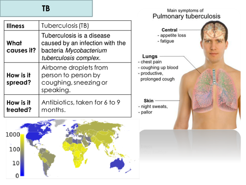 B5.2 Pathogens and diseases