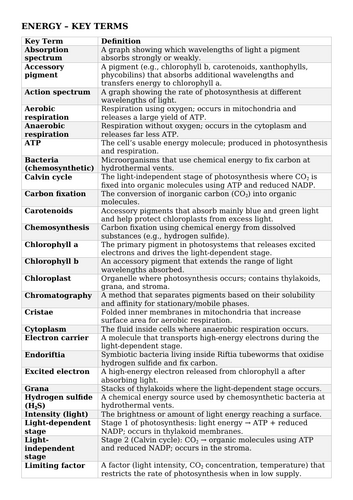 docx, 18.6 KB