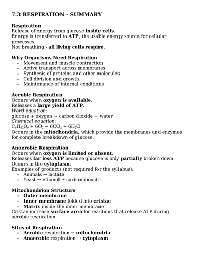 docx, 36.48 KB
