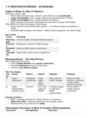 docx, 48.31 KB