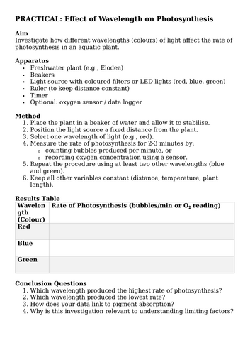docx, 17.83 KB
