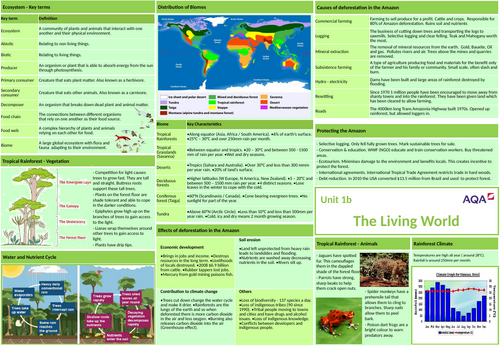 AQA GCSE Geography Knowledge Organisers Paper 1 and Paper 2 | Teaching ...