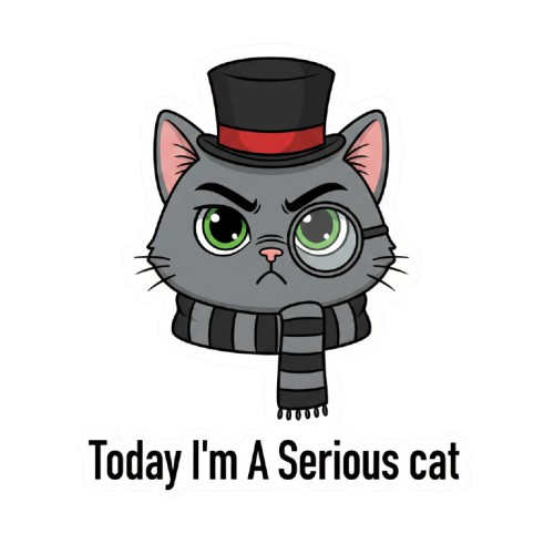 I'm a serious cat today
