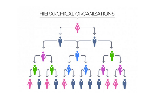 Organisational Design (Edexcel A Level Business 1.4.3) | Teaching Resources