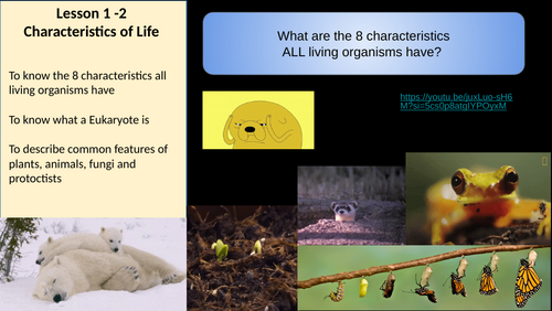 IGCSE Edexcel 9-1 Biology 1ab Living Organisms Bundle | Teaching Resources