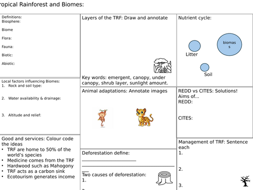 Tropical rainforest a3 revision sheet GCSE or KS3 | Teaching Resources