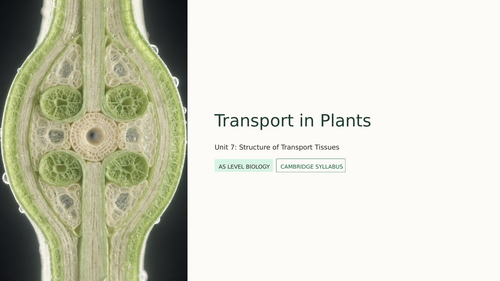 AS Level Biology - Structure of transport tissues (Plants) | Teaching ...