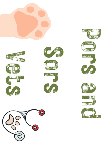 Vets Role Play, Early Reading & Social Skills Resource | Teaching Resources