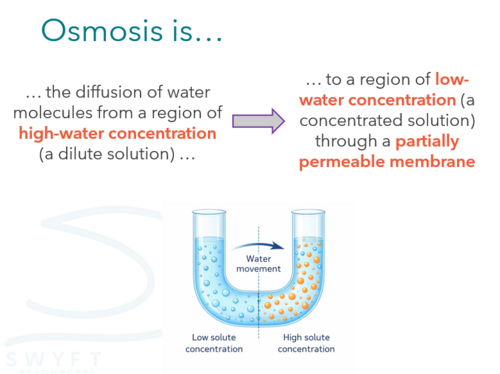 NEW WJEC (2026) GCSE Science - Osmosis | Teaching Resources