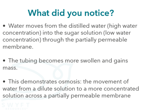 NEW WJEC (2026) GCSE Science - Osmosis | Teaching Resources