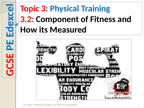 pptx, 2.74 MB